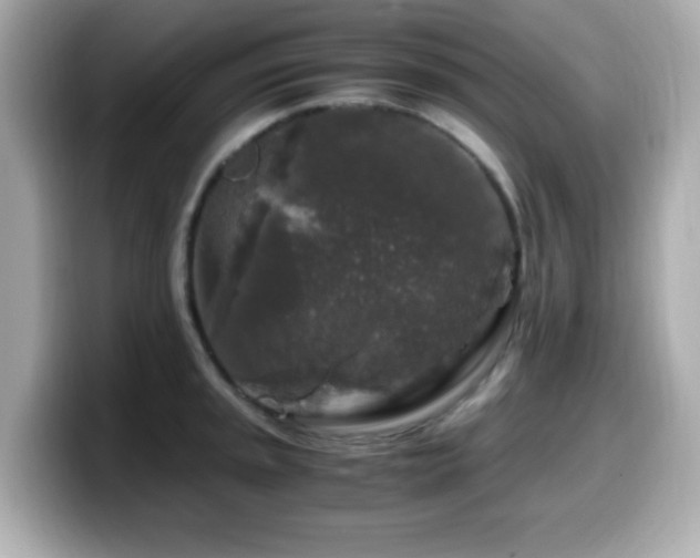X0000099991045200805231448