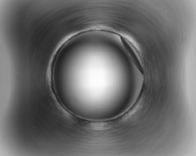 X0000099991046200805231448