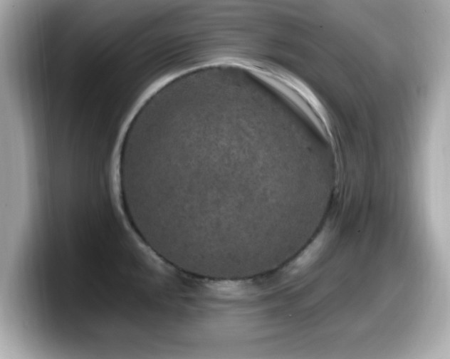 X0000099991048200805231448