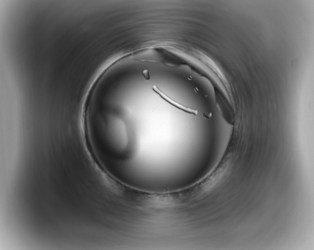 X0000099991050200805231449
