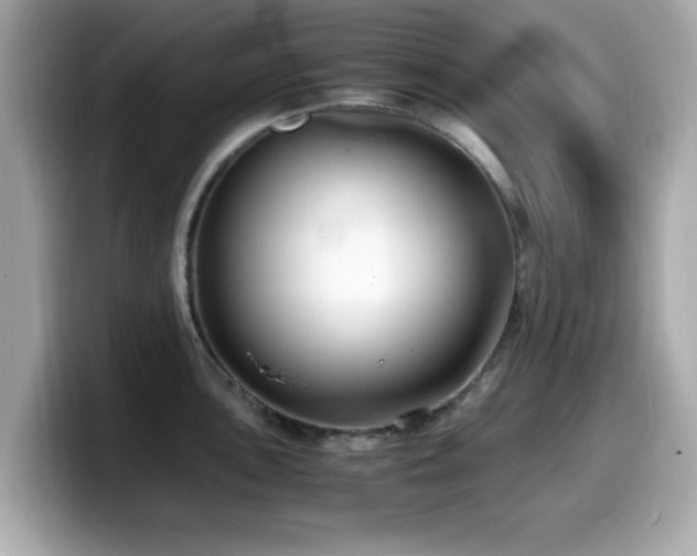 X0000099991051200805231449