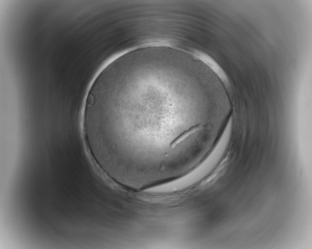 X0000099991052200805231449