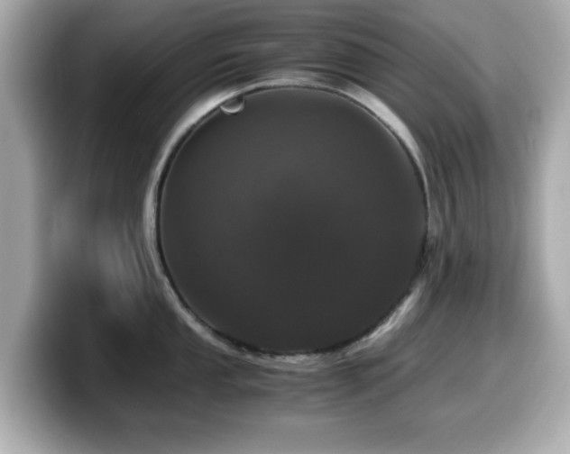 X0000099991053200805231449