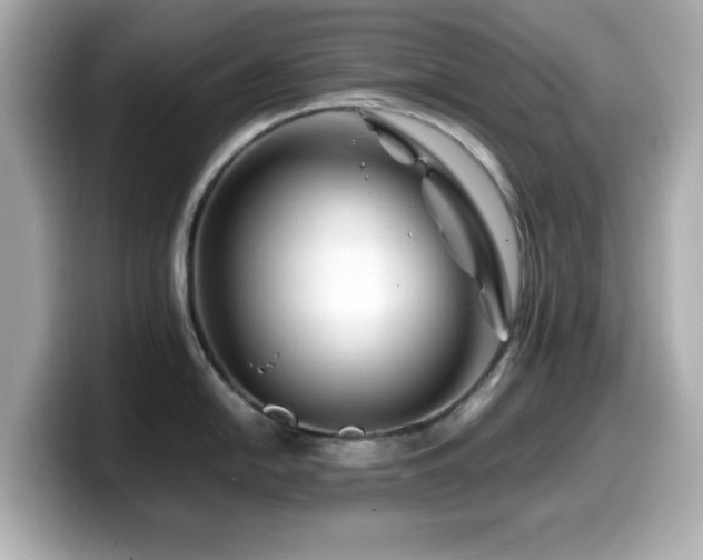 X0000099991054200805231449