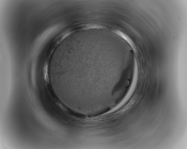 X0000099991055200805231449