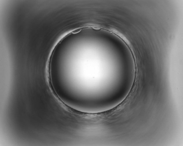 X0000099991056200805231449
