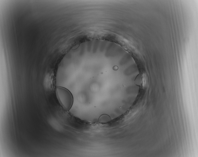 X0000099991059200805231448
