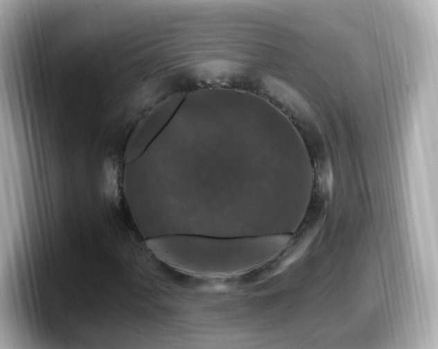 X0000099991060200805231448