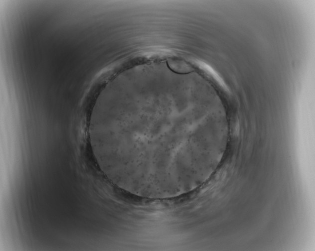 X0000099991063200805231448