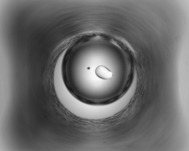 X0000099991064200805231448