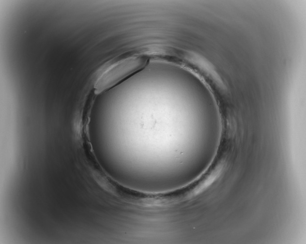 X0000099991065200805231448