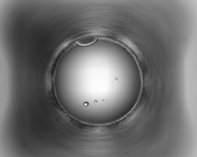 X0000099991067200805231448