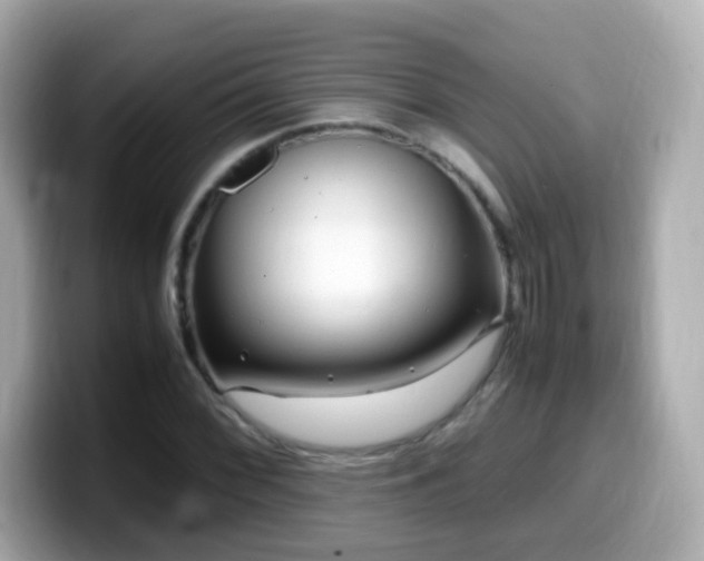 X0000099991068200805231448