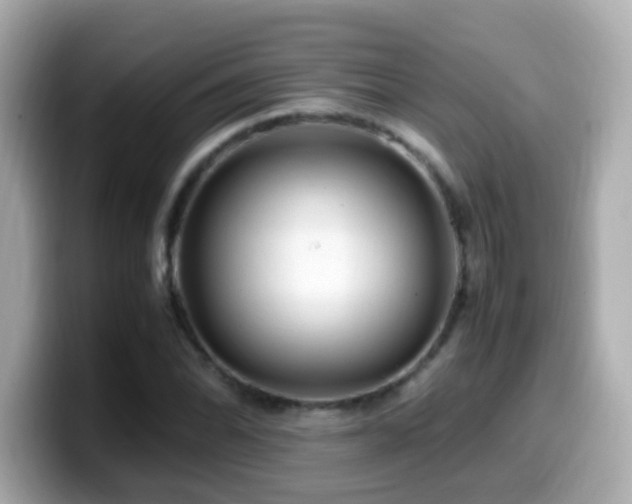 X0000099991070200805231448