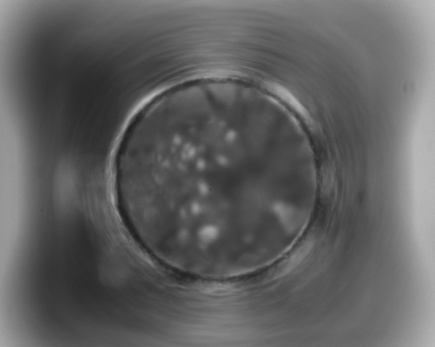 X0000099991071200805231448