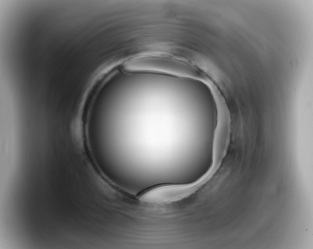 X0000099991072200805231448