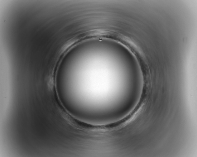 X0000099991073200805231448