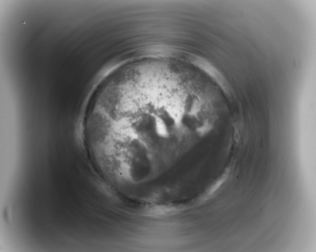X0000099991074200805231448