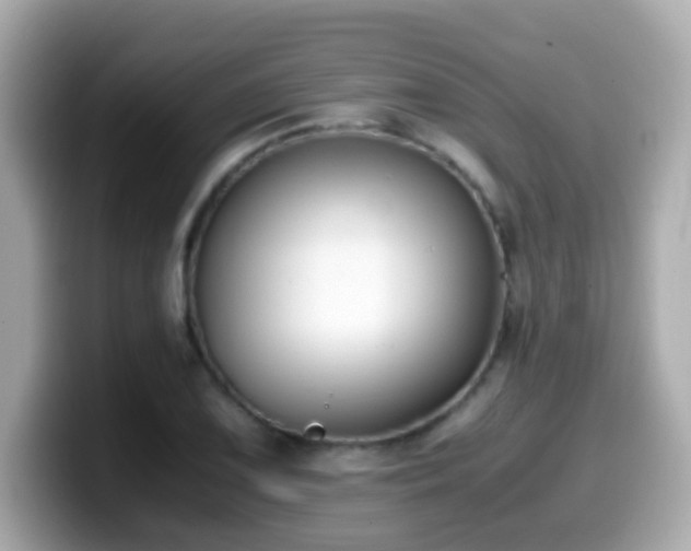 X0000099991075200805231448