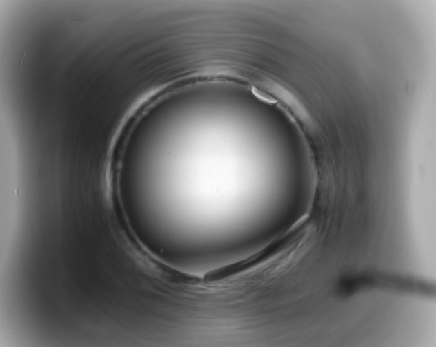 X0000099991076200805231448