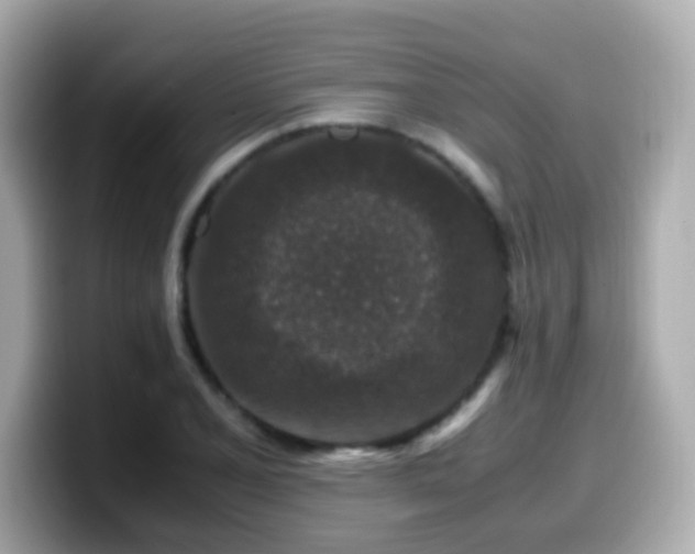 X0000099991077200805231448