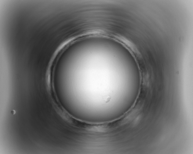 X0000099991078200805231448