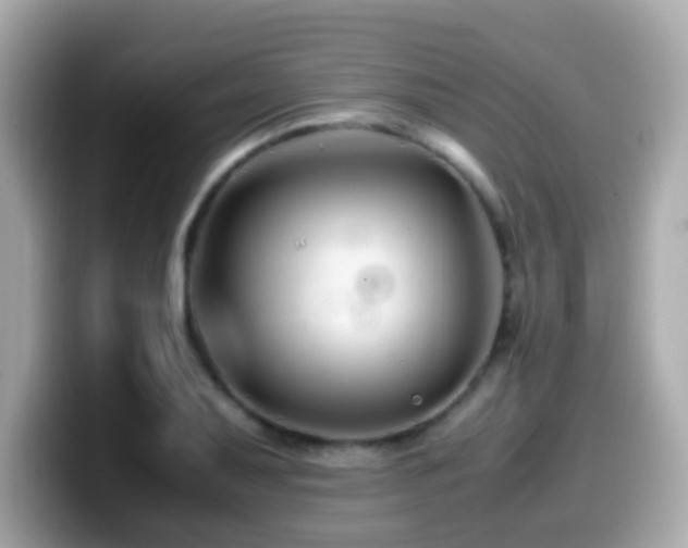 X0000099991079200805231448