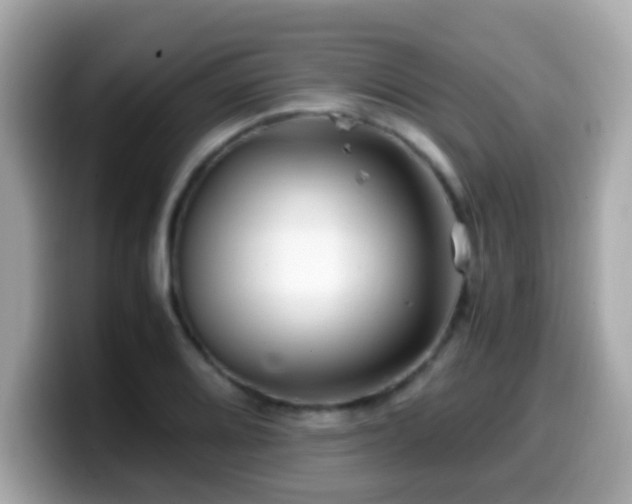 X0000099991080200805231448