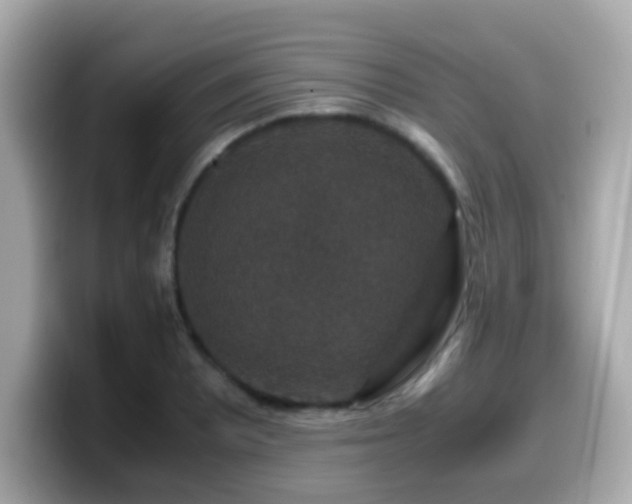 X0000099991081200805231448