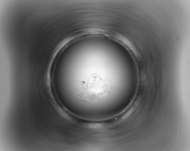 X0000099991082200805231448