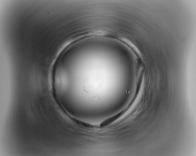 X0000099991083200805231448