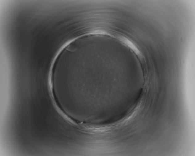 X0000099991084200805231448