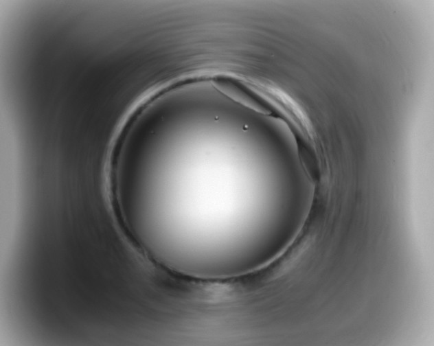 X0000099991085200805231448
