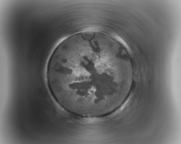 X0000099991087200805231448