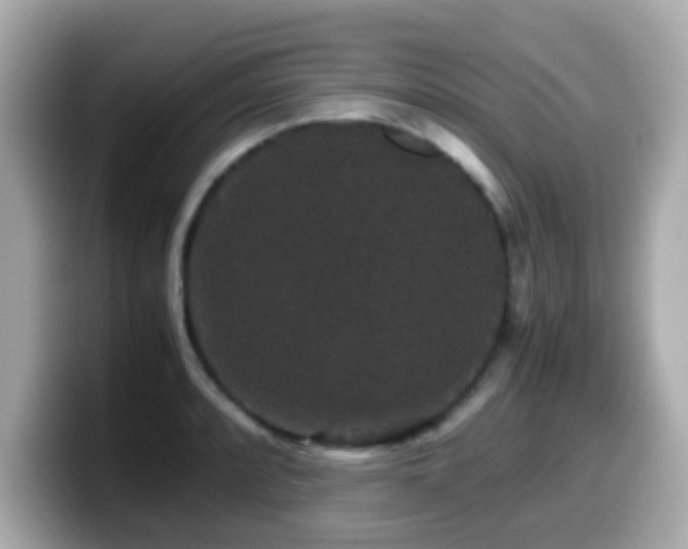 X0000099991088200805231448