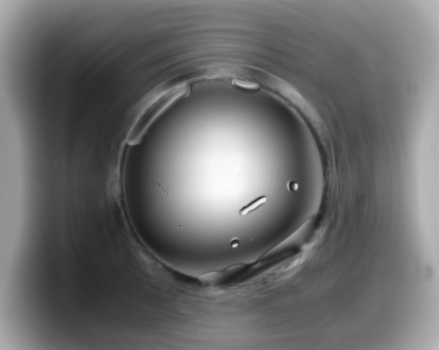 X0000099991089200805231448