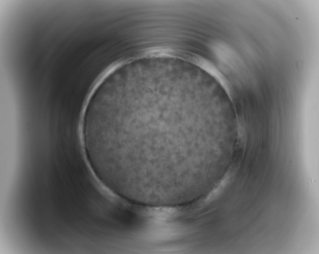 X0000099991090200805231448