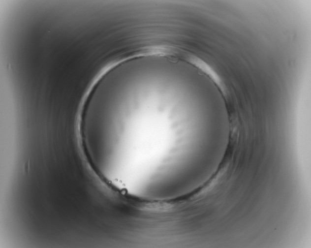 X0000099991091200805231448