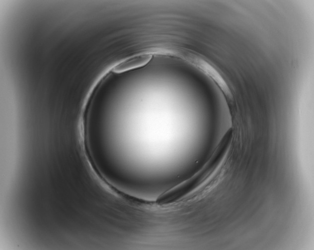X0000099991092200805231447