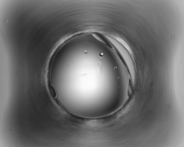 X0000099991093200805231447