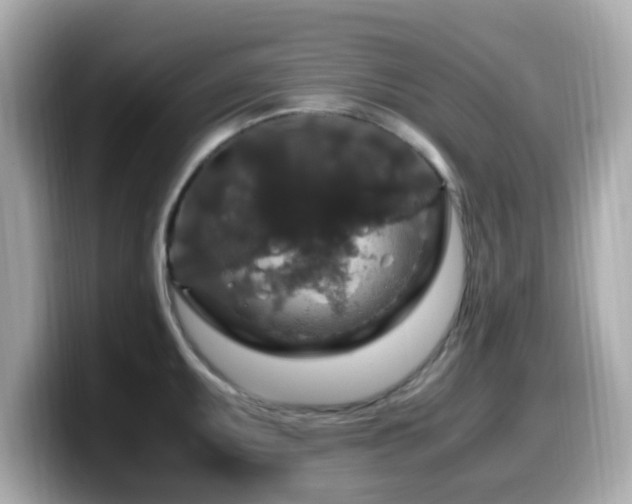 X0000099991095200805231447
