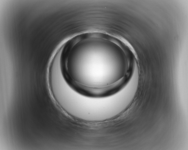 X0000099991096200805231447