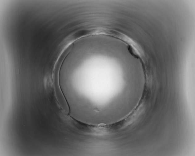 X0000099991097200805231447