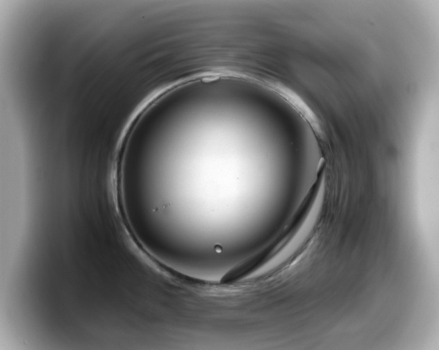 X0000099991100200805231447