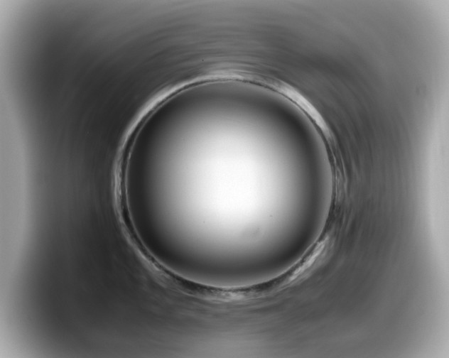 X0000099991101200805231447