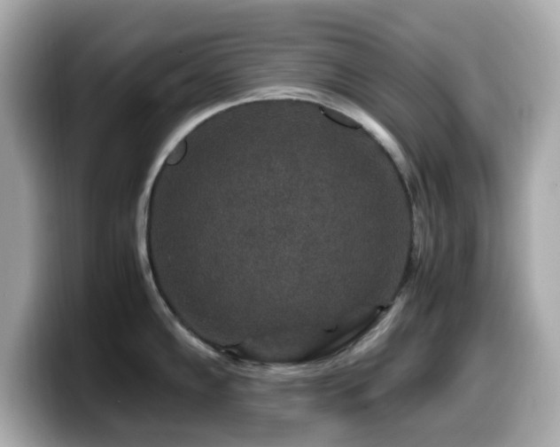 X0000099991102200805231447