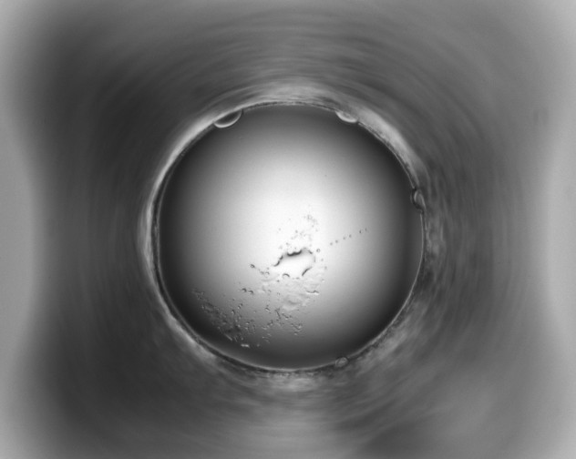 X0000099991103200805231447