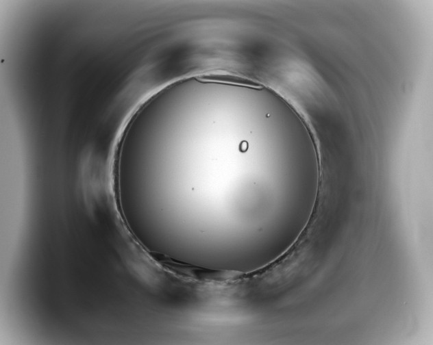 X0000099991104200805231447