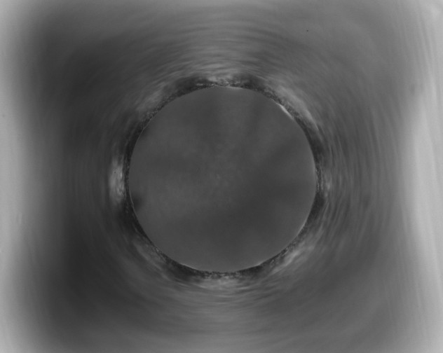X0000099991106200805231447