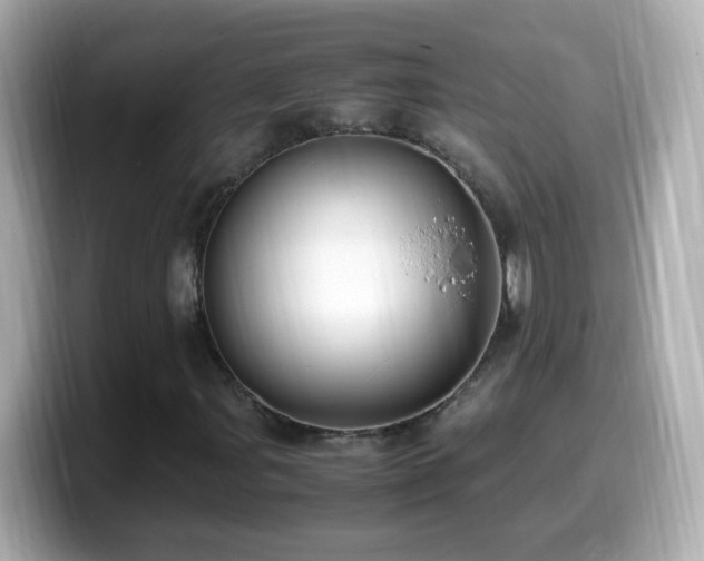 X0000099991107200805231447